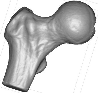 Denoised BallJoint w/o volume compensation preview image