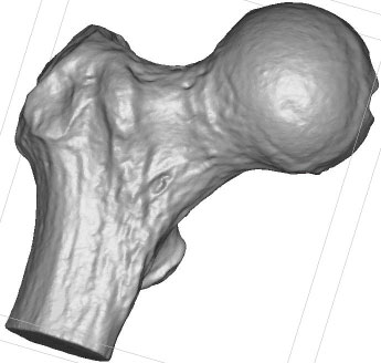Denoised BallJoint with volume compensation preview image