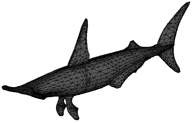 Shark remeshed model image
